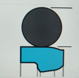 PTFE rod seals-CAS